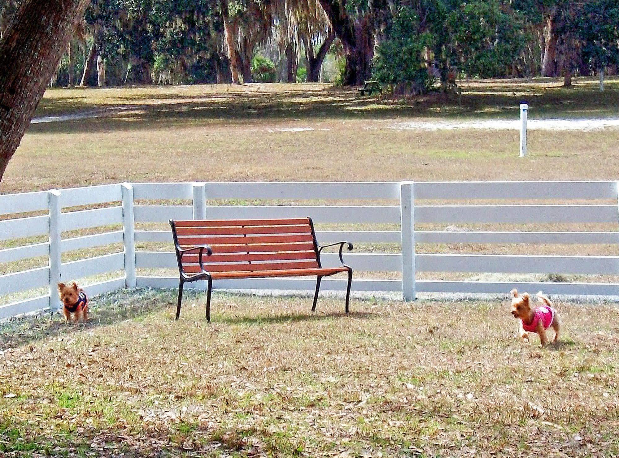 Bulow Rv Resort フラッグラー・ビーチ エクステリア 写真